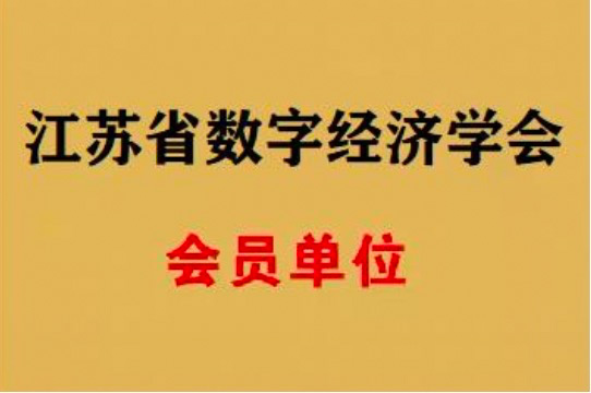 数字经济学会